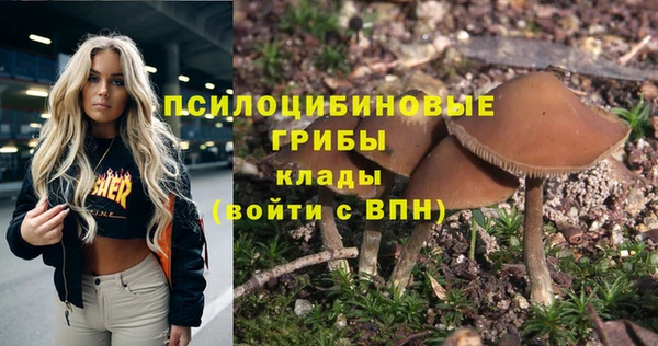 мдма Осташков