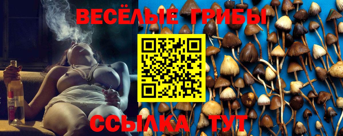 Великий Новгород  Галлюциногенные грибы Cubensis  хочу   Псилоцибиновые грибы Psilocybine cubensis  Вход с VPN 