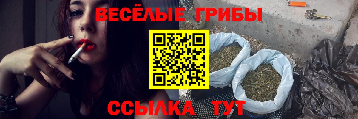 Псилоцибиновые грибы ЛСД  Великий Новгород  Псилоцибиновые грибы Psilocybine cubensis 